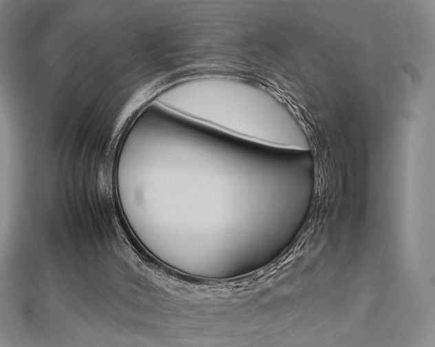X0000112470004200908171000