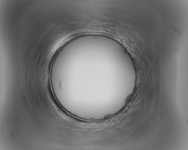 X0000112470005200908171000