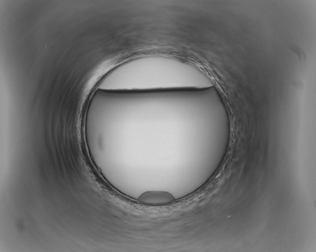 X0000112470006200908171000