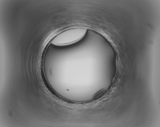 X0000112470007200908171000