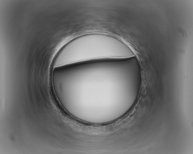 X0000112470008200908171000