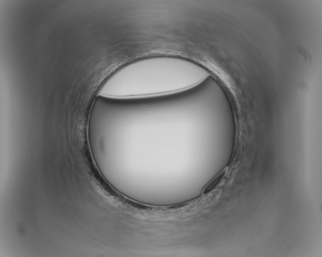 X0000112470009200908171000