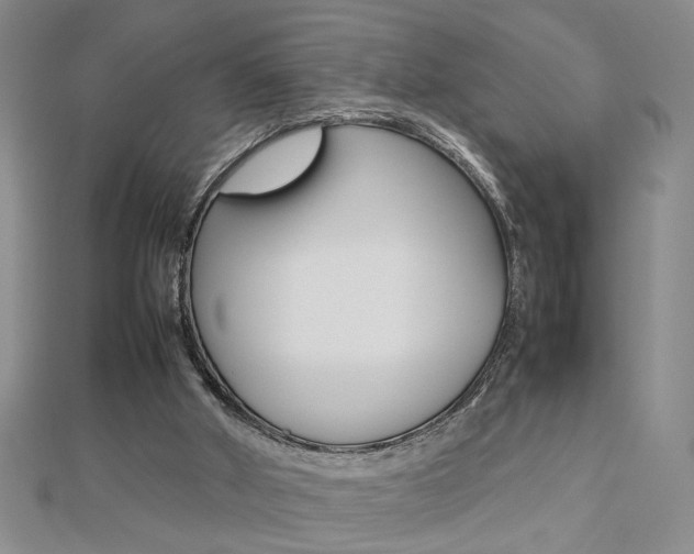 X0000112470010200908171000