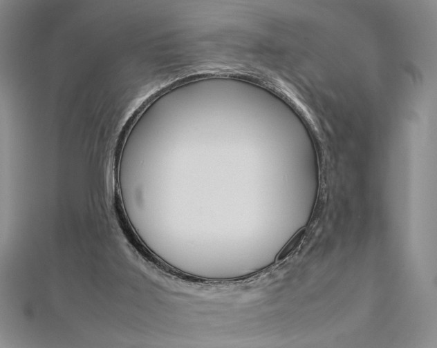 X0000112470011200908171000