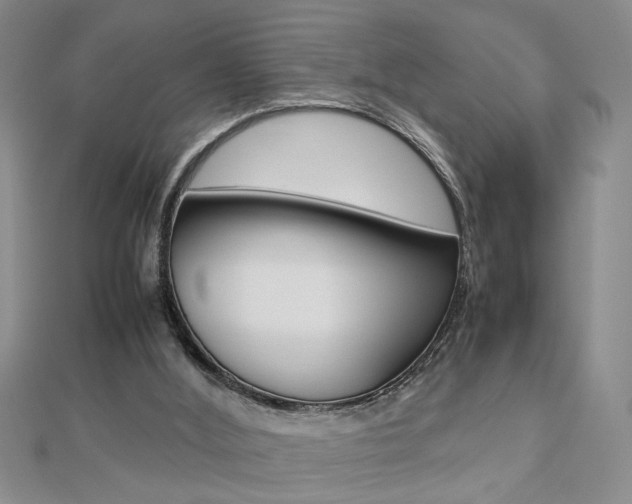 X0000112470012200908171000