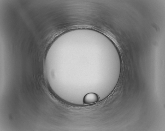 X0000112470013200908171000