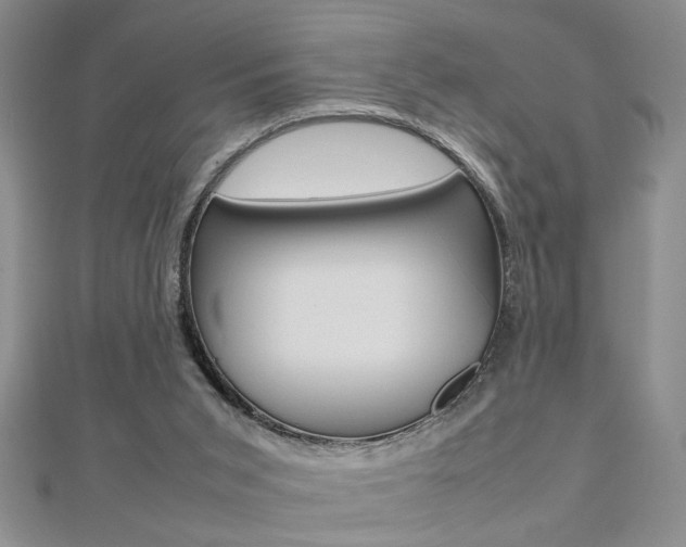 X0000112470015200908171000