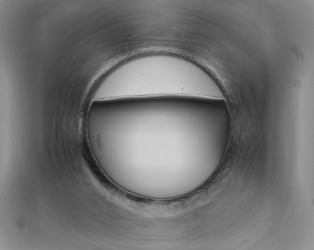 X0000112470016200908171000