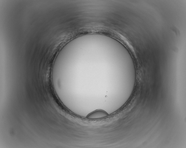 X0000112470018200908171000