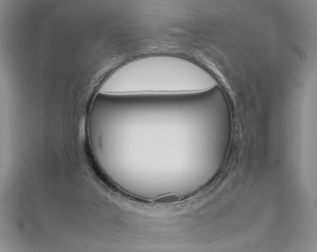 X0000112470019200908171000