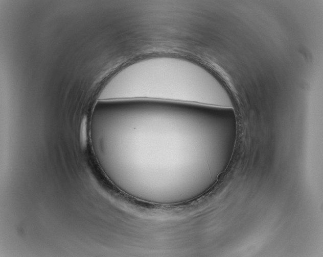 X0000112470020200908171000