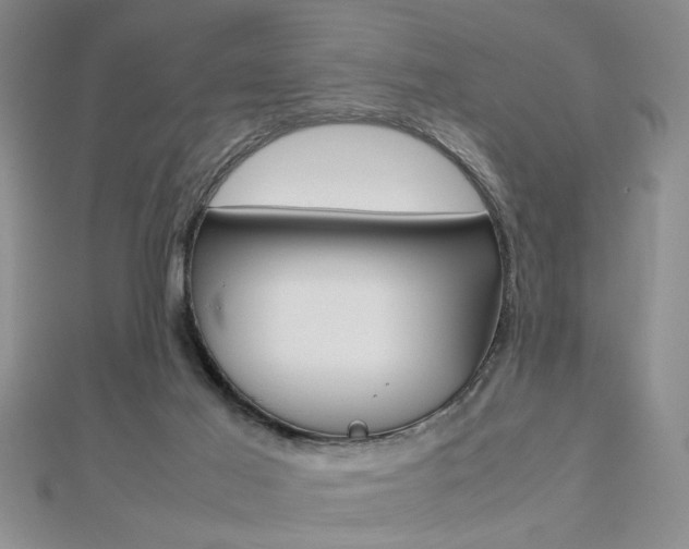 X0000112470021200908171000