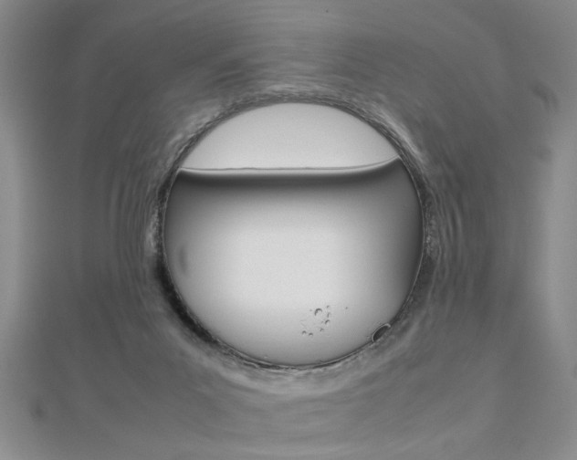 X0000112470023200908171000
