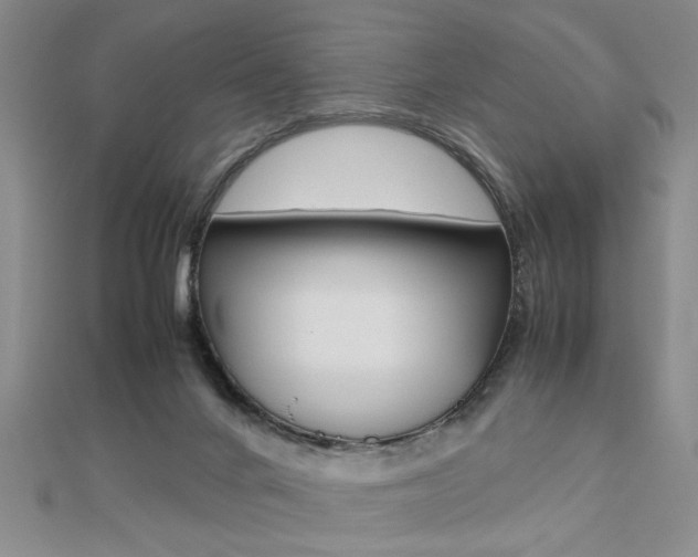 X0000112470024200908171000