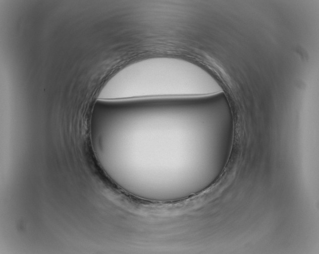 X0000112470025200908171000