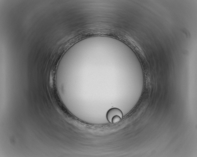 X0000112470026200908171000
