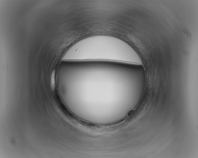 X0000112470028200908171000