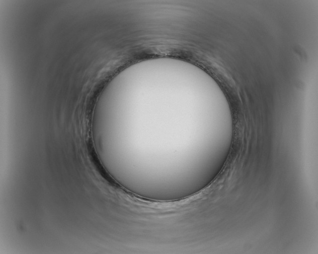 X0000112470031200908171000
