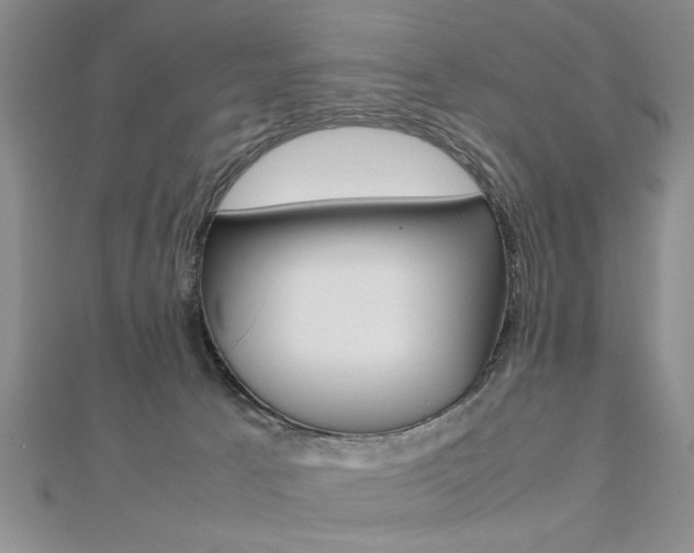 X0000112470033200908171000