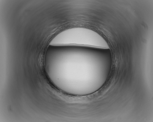 X0000112470036200908171000