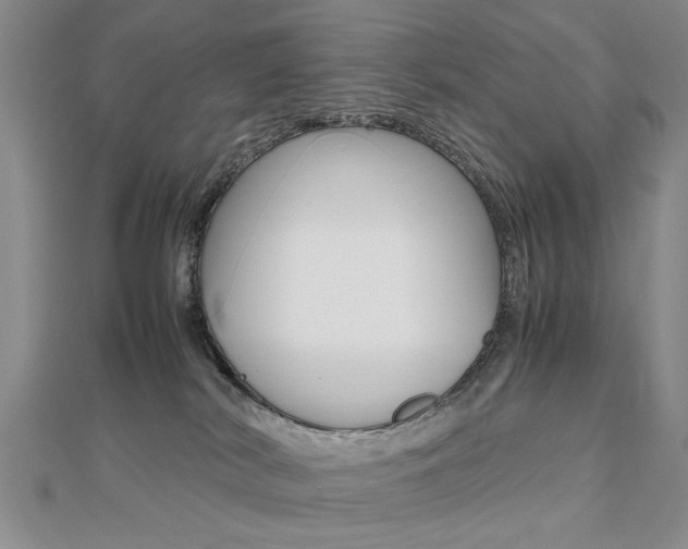 X0000112470038200908171000