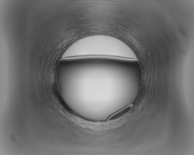 X0000112470039200908171000