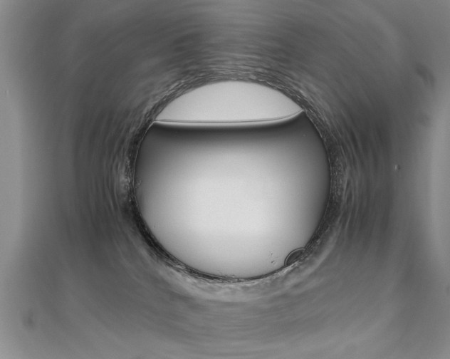 X0000112470040200908171000