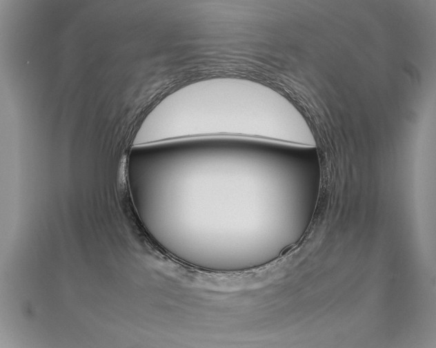 X0000112470041200908171000