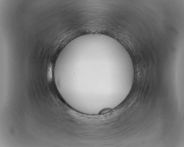 X0000112470042200908171000
