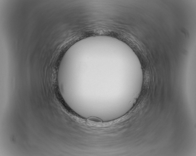 X0000112470043200908171000