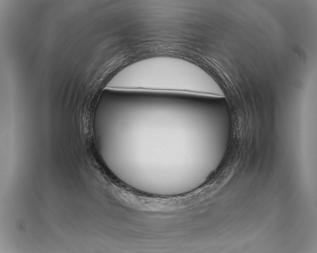 X0000112470044200908171000
