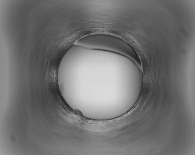 X0000112470045200908171000