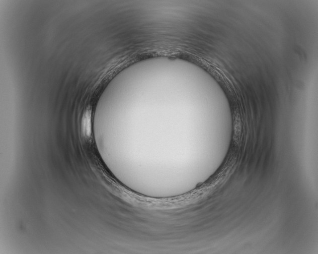 X0000112470046200908171000