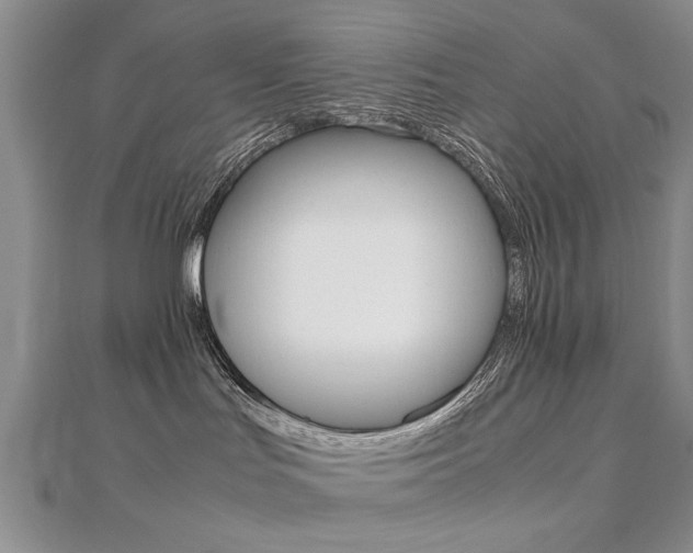 X0000112470047200908171000