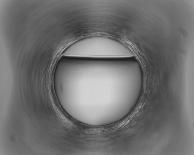 X0000112470049200908170959