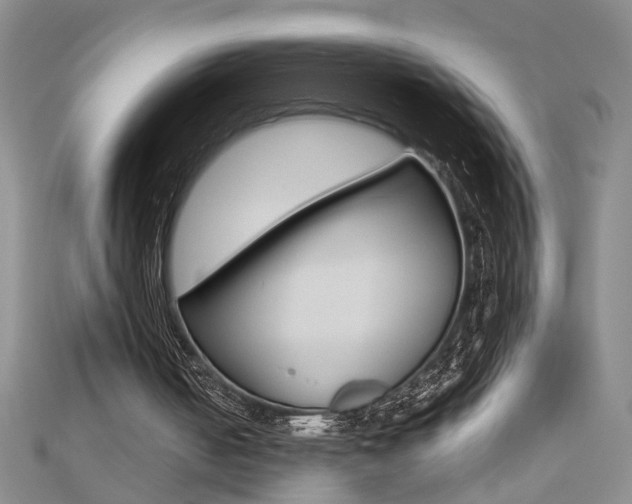 X0000112470050200908170959