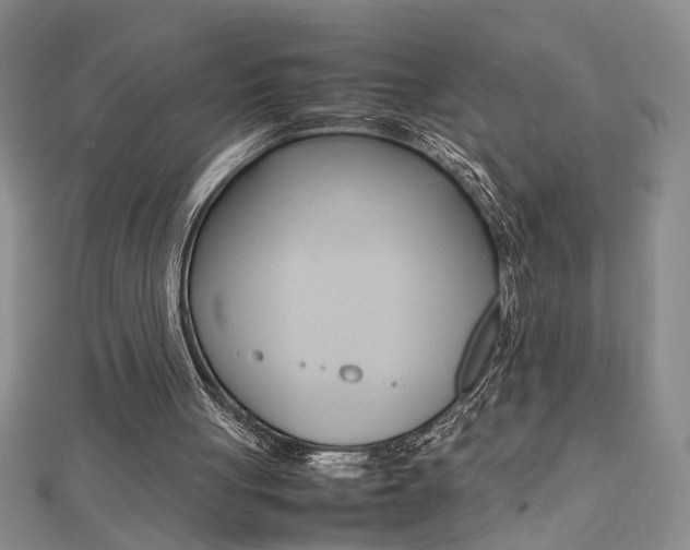 X0000112470051200908170959