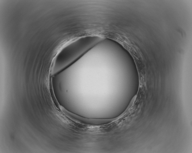 X0000112470052200908170959