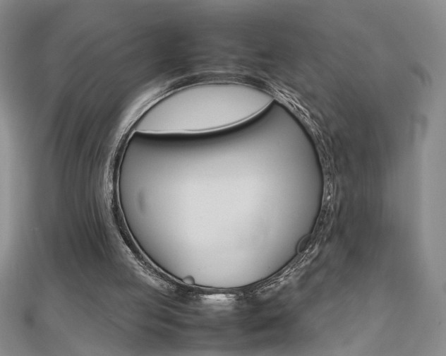 X0000112470053200908170959