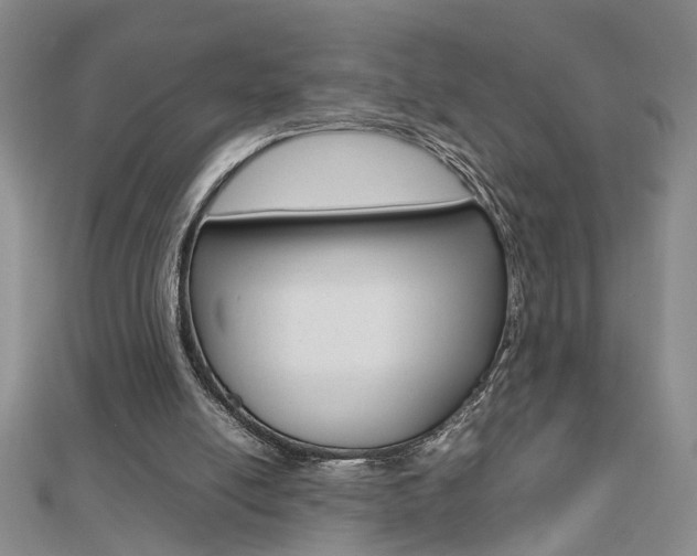 X0000112470054200908170959