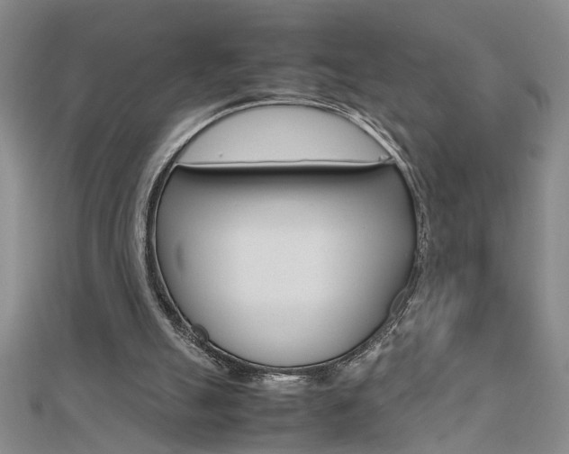 X0000112470055200908170959