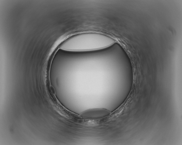 X0000112470056200908170959