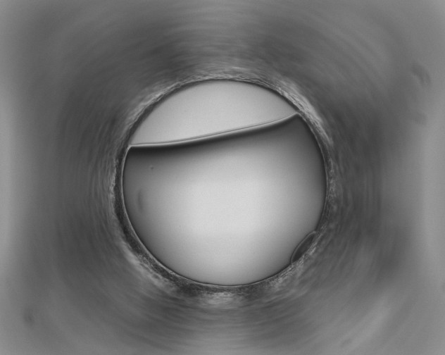 X0000112470058200908170959