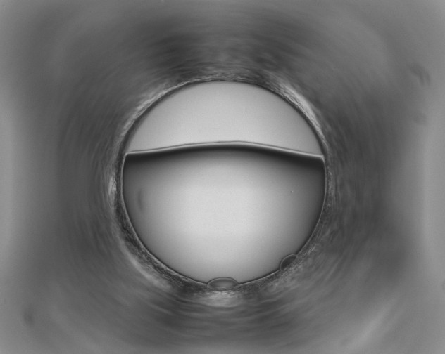 X0000112470059200908170959