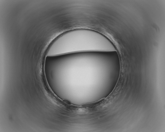 X0000112470060200908170959