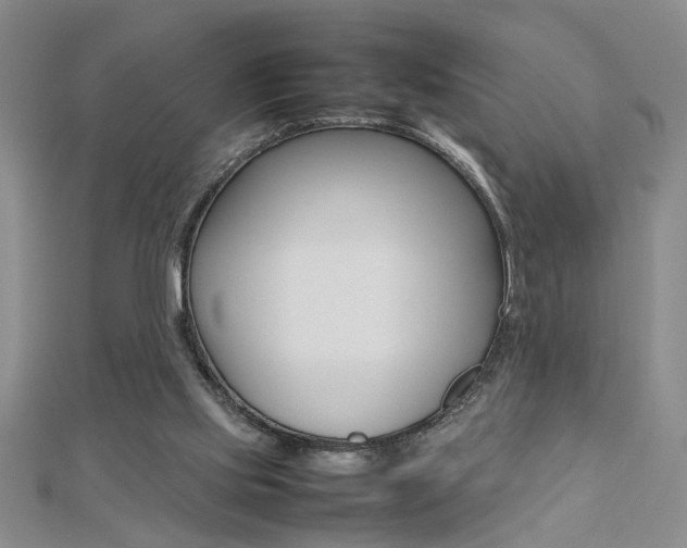 X0000112470061200908170959