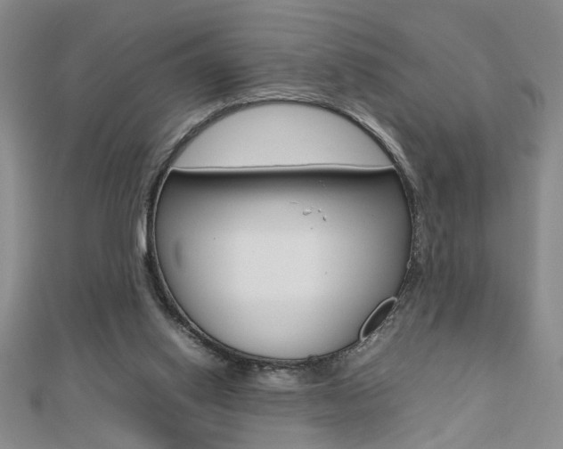 X0000112470062200908170959