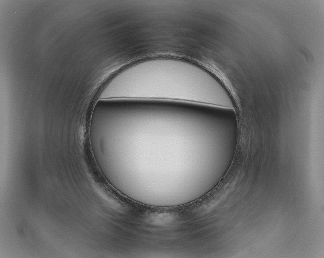 X0000112470063200908170959
