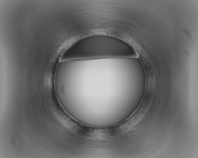 X0000112470064200908170959