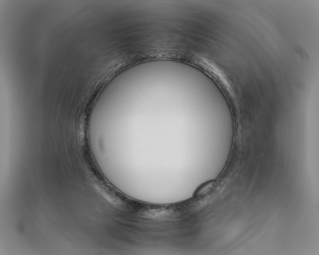 X0000112470065200908170959